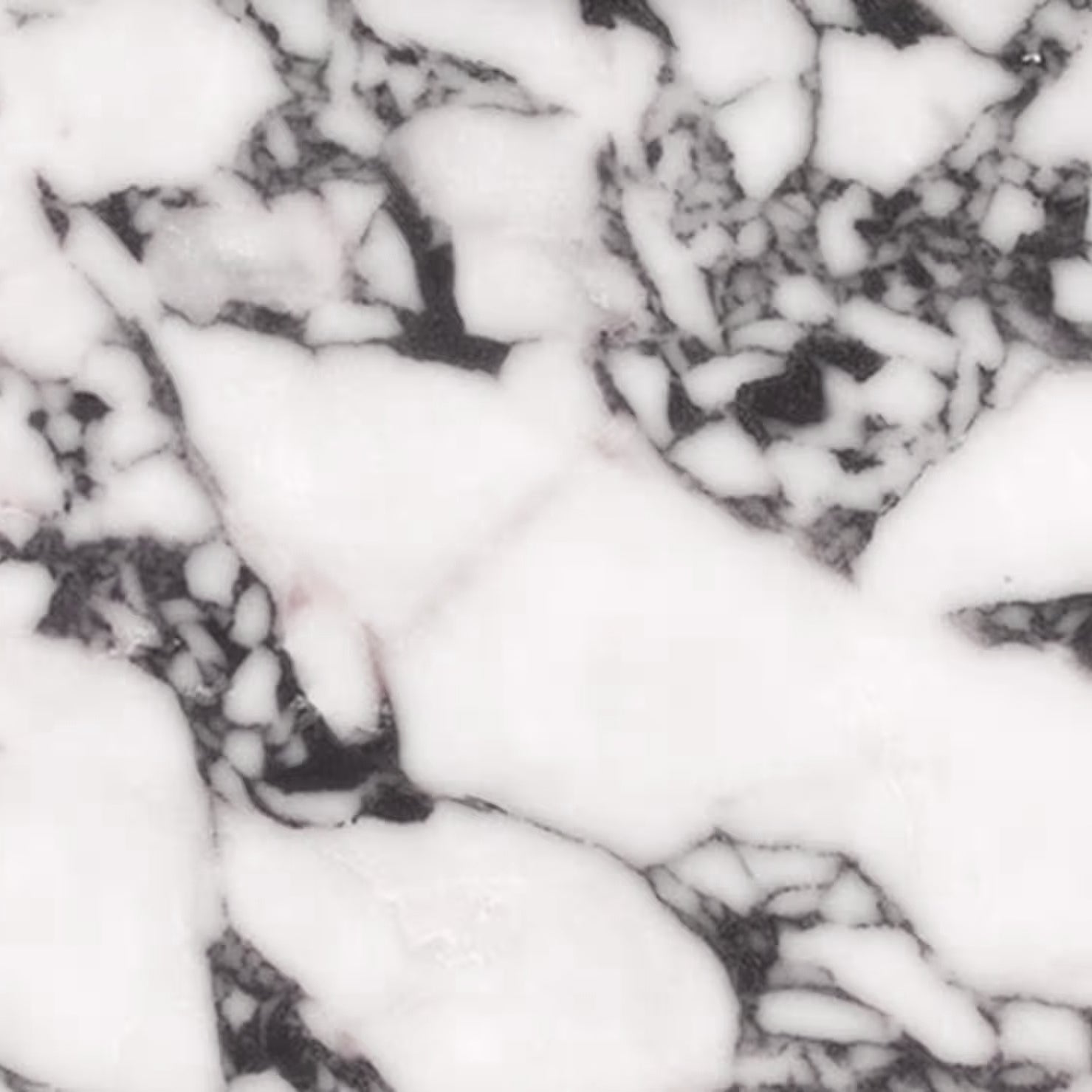Calacatta Viola Estate Marble Sink
